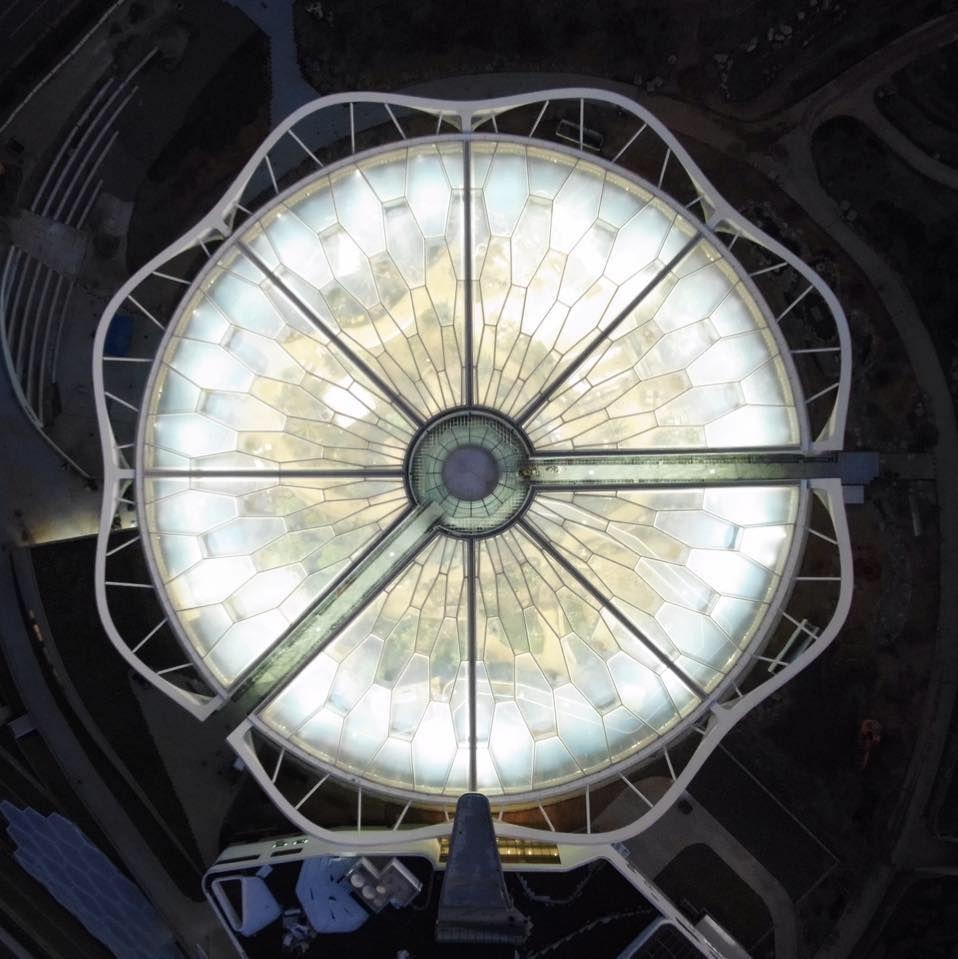 korea, seoul, travel, trip, backpack, botanic garden, wetland, park, nature, green, ecology, greenhouse